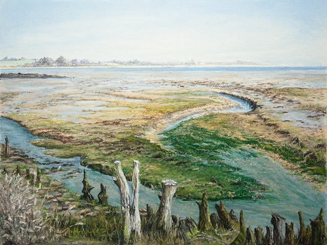 Ebb & Flow of Holbrook Bay