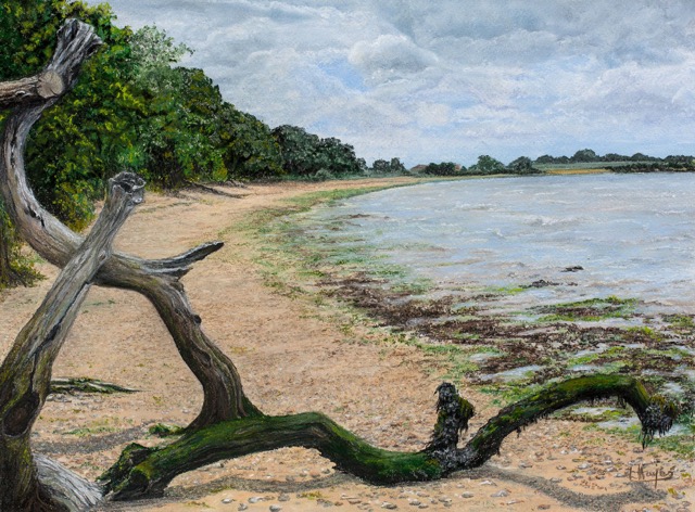Driftwood On The Shore